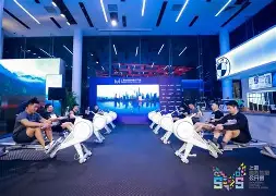 爱游戏体育在线-赛前全明星赛传出新动向；印第安纳步行者强势反弹；管理层表态——质疑声仍在；赛季目标并未改变的简单介绍